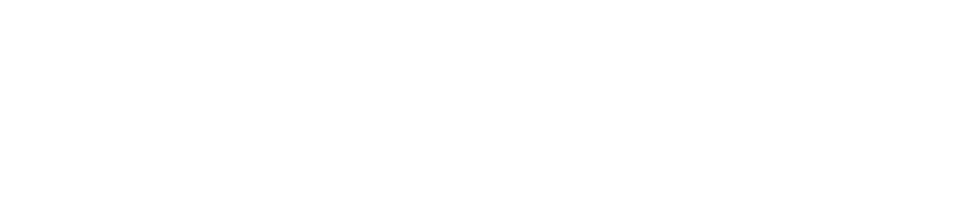 Catalogo white Logo